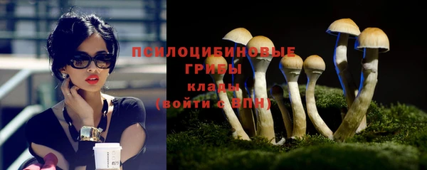 индика Балахна