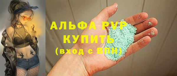 индика Балахна