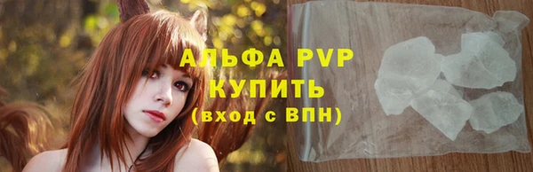 индика Балахна