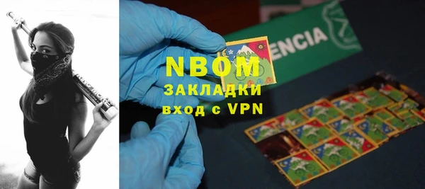 индика Балахна