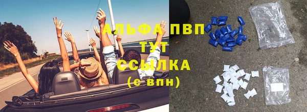 индика Балахна