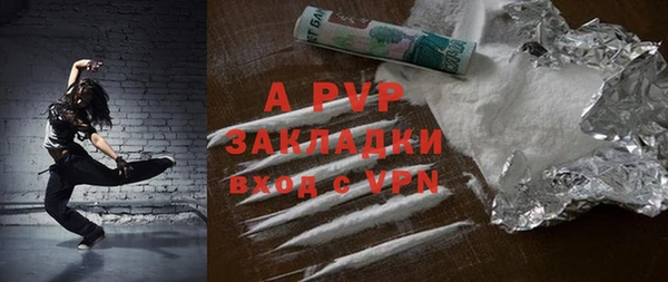 индика Балахна