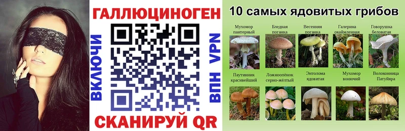 KRAKEN как войти  Усть-Кут  Псилоцибиновые грибы Magic Shrooms 